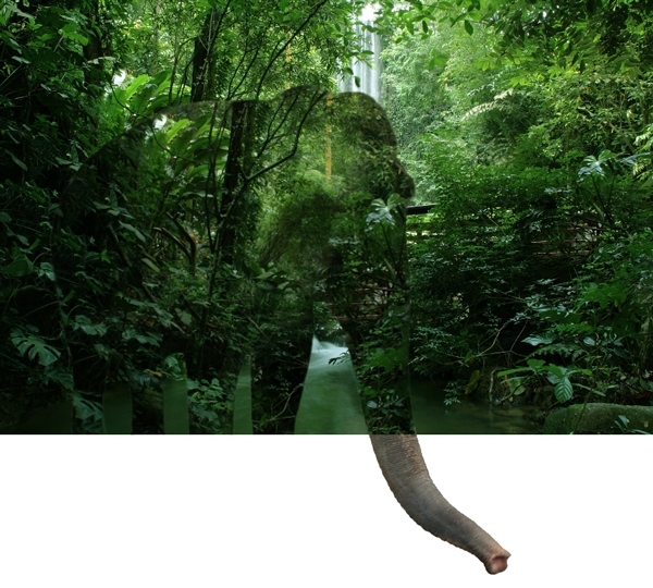 Creation of camouflage: Step 2